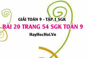 Giải bài 20 trang 54 SGK Toán 9 tập 1